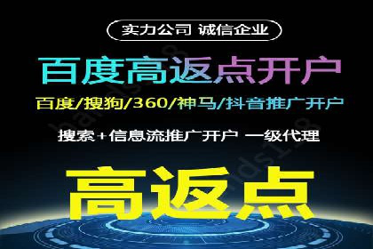 某旅游网站SEM优化案例：如何吸引目标用户